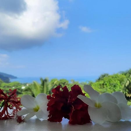 Cella Villa Anse a La Mouche Esterno foto