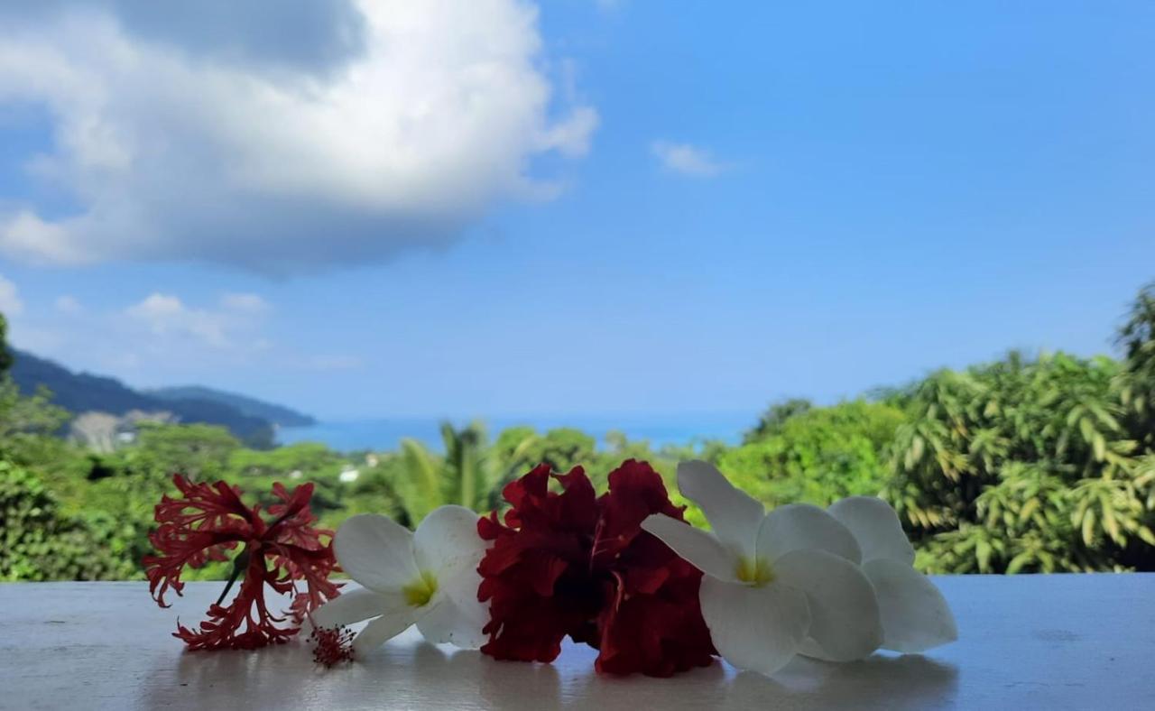Cella Villa Anse a La Mouche Esterno foto